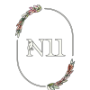 n11_logo